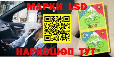 МДПВ Кингисепп