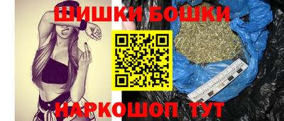 МДПВ Кингисепп
