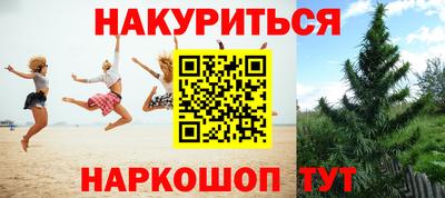 МДПВ Кингисепп