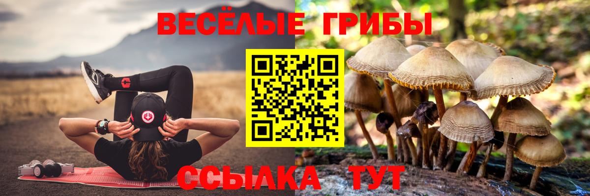 Галлюциногенные грибы мухоморы Тверь
