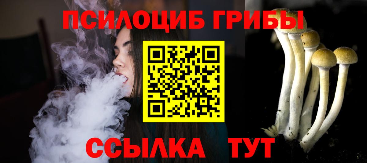 где можно купить   Вход с VPN  Тверь  Галлюциногенные грибы GOLDEN TEACHER 